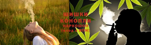стаф Белоозёрский