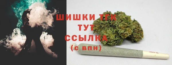 хмурый Белокуриха