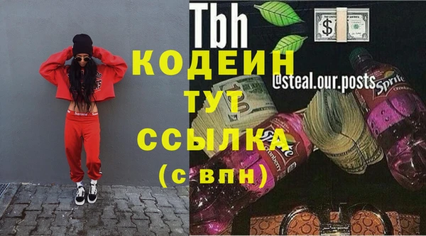 хмурый Белокуриха