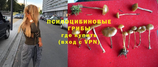 а пвп мука Пересвет