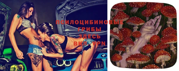 ALPHA-PVP Бугульма