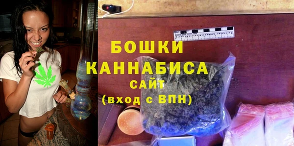хмурый Белокуриха