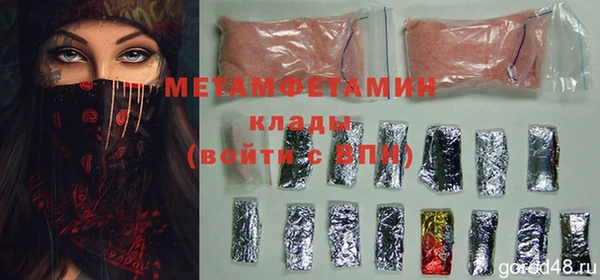 хмурый Белокуриха