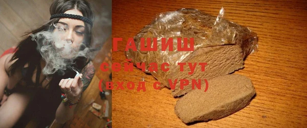 хмурый Белокуриха