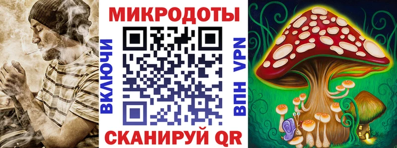 Псилоцибиновые грибы Psilocybine cubensis  купить наркотик  Губкин 