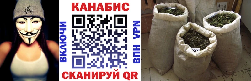 Шишки марихуана семена  что такое   blacksprut   Губкин 